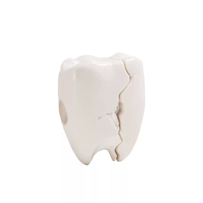 Cute Teeth Case for AirPods