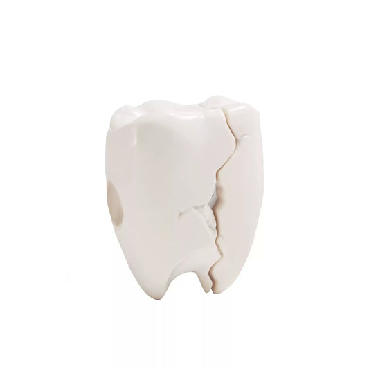 Cute Teeth Case for AirPods