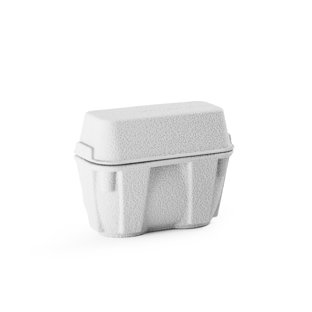 Egg Carton Case for AirPods